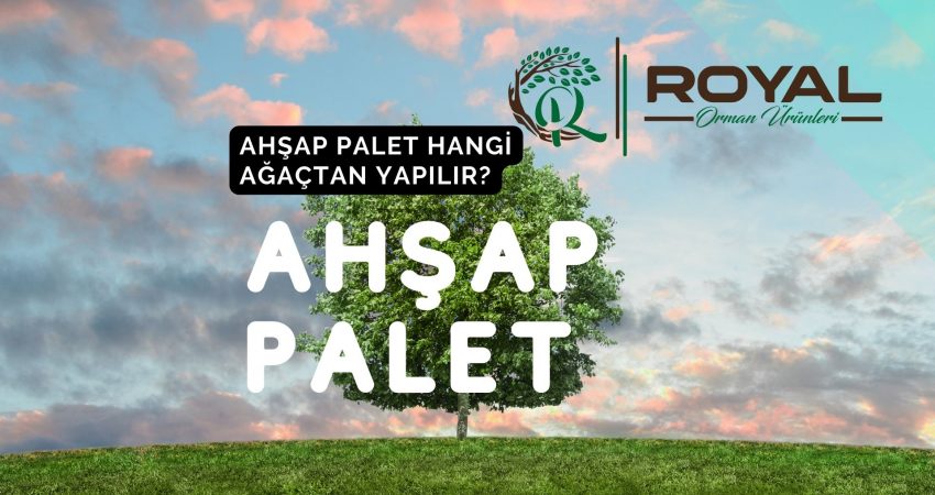 Ahşap Palet Hangi Ağaçtan Yapılır